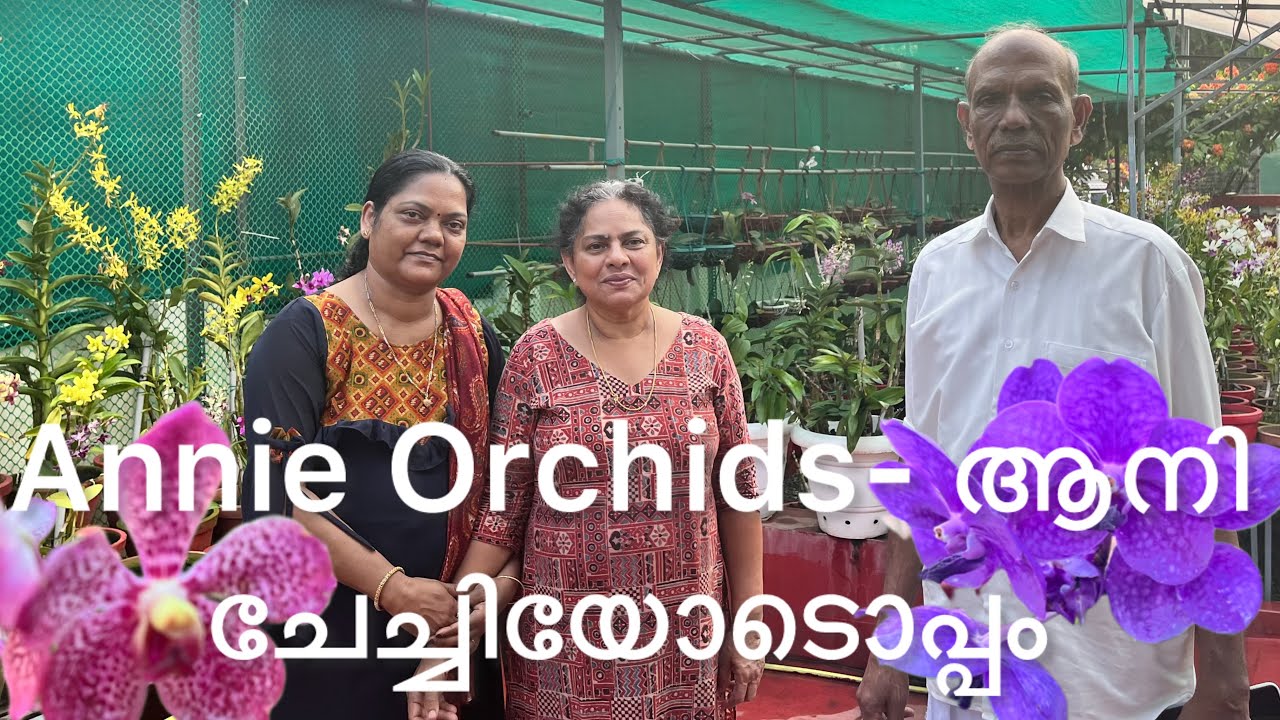 കേരളത്തിലെ പ്രശസ്ത Orchid Owner ആനി ചേച്ചിയുടെ Annie Orchids ൽ/ Orchid Nursery Visits 💪💜