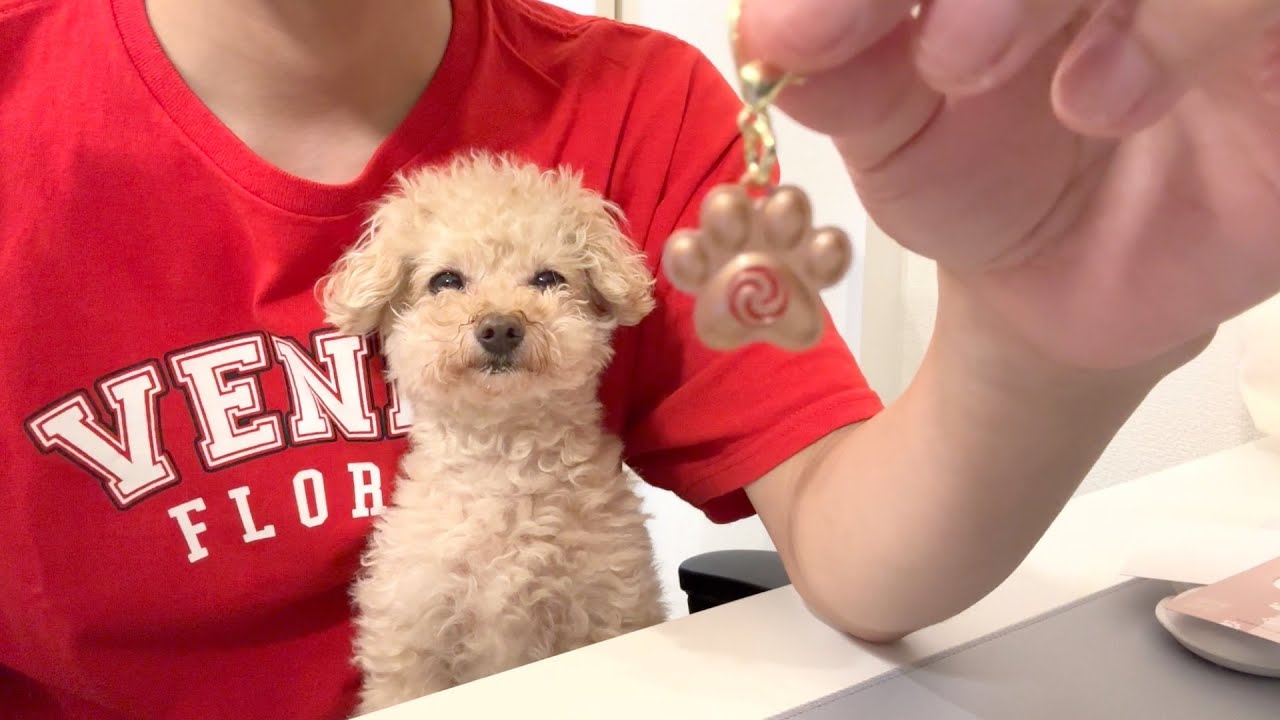 神を宿し最強になった小殿