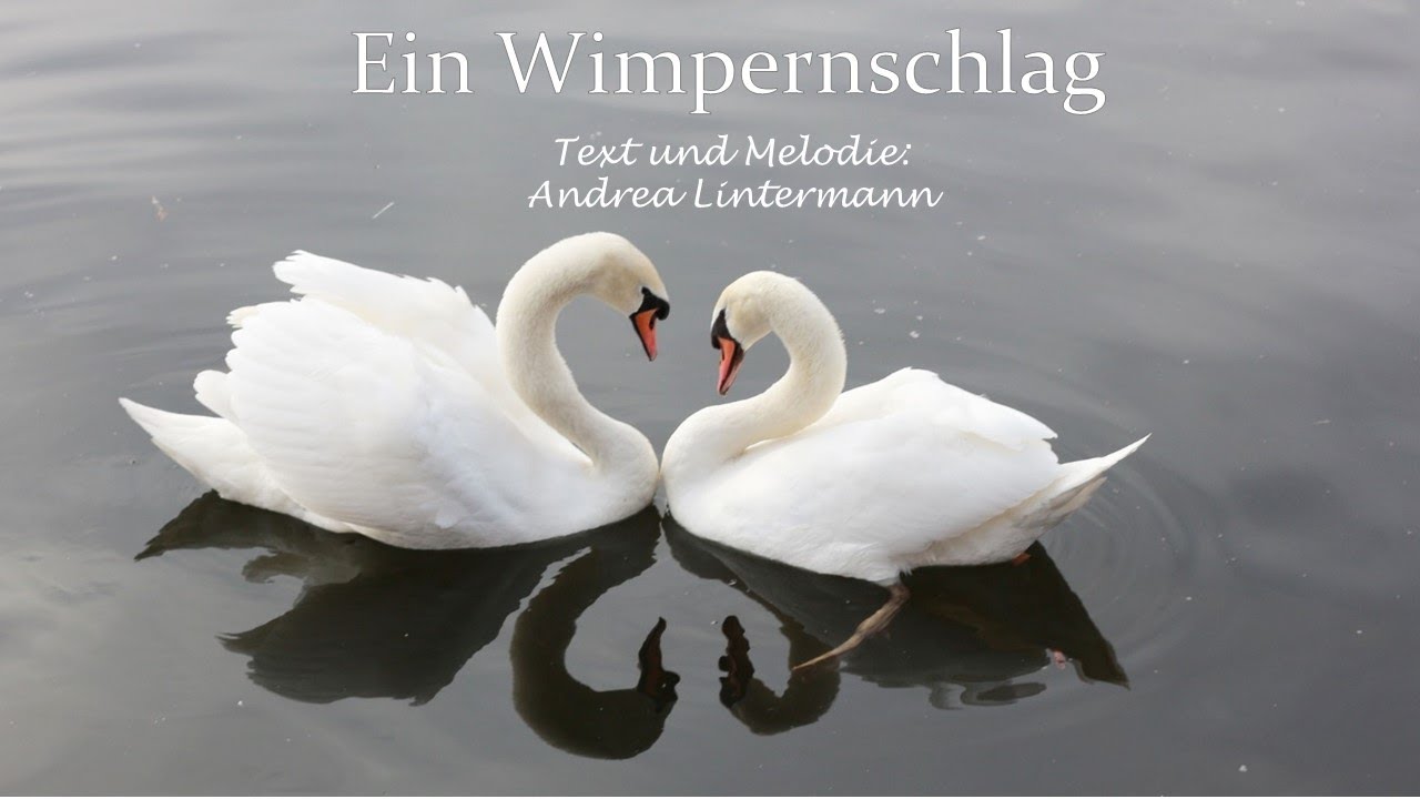 Ein Wimpernschlag