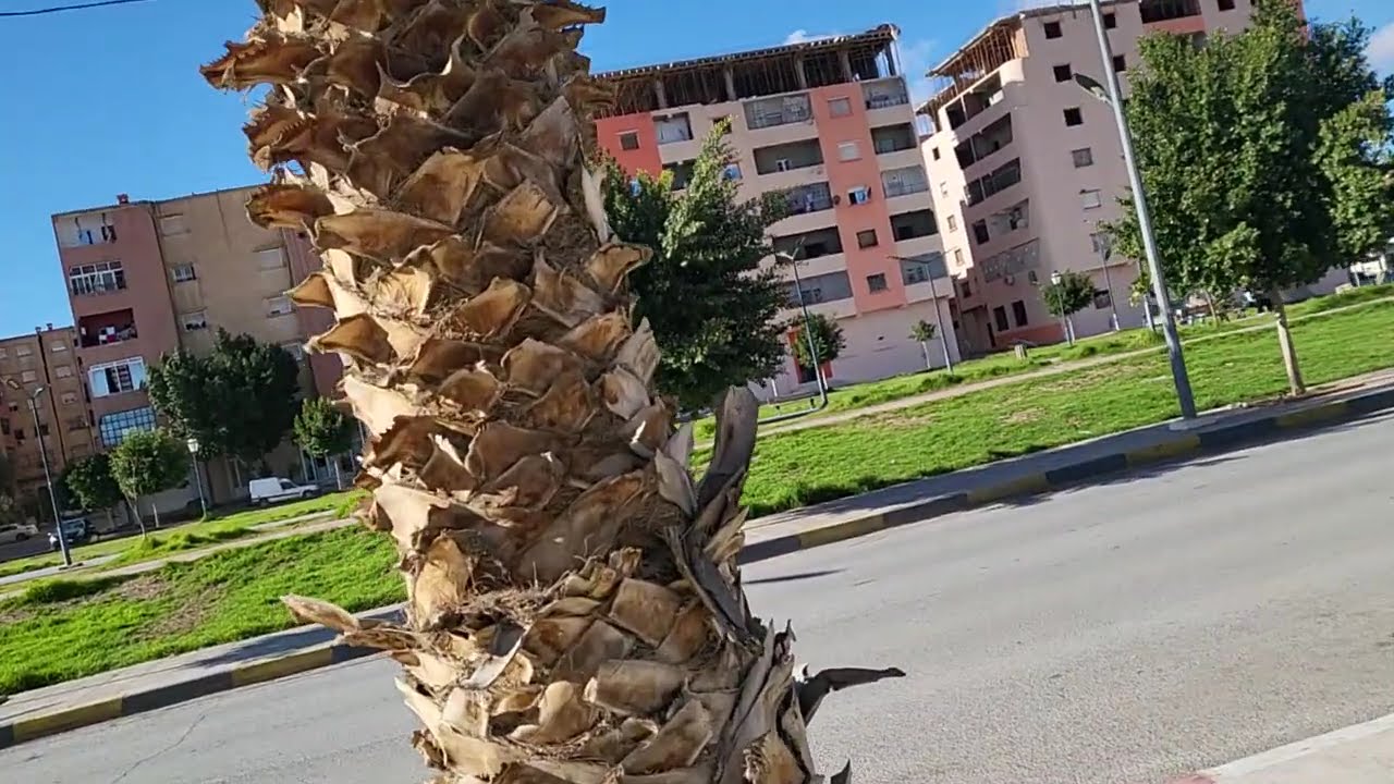 المقطع 2  Sidi bel abbes 