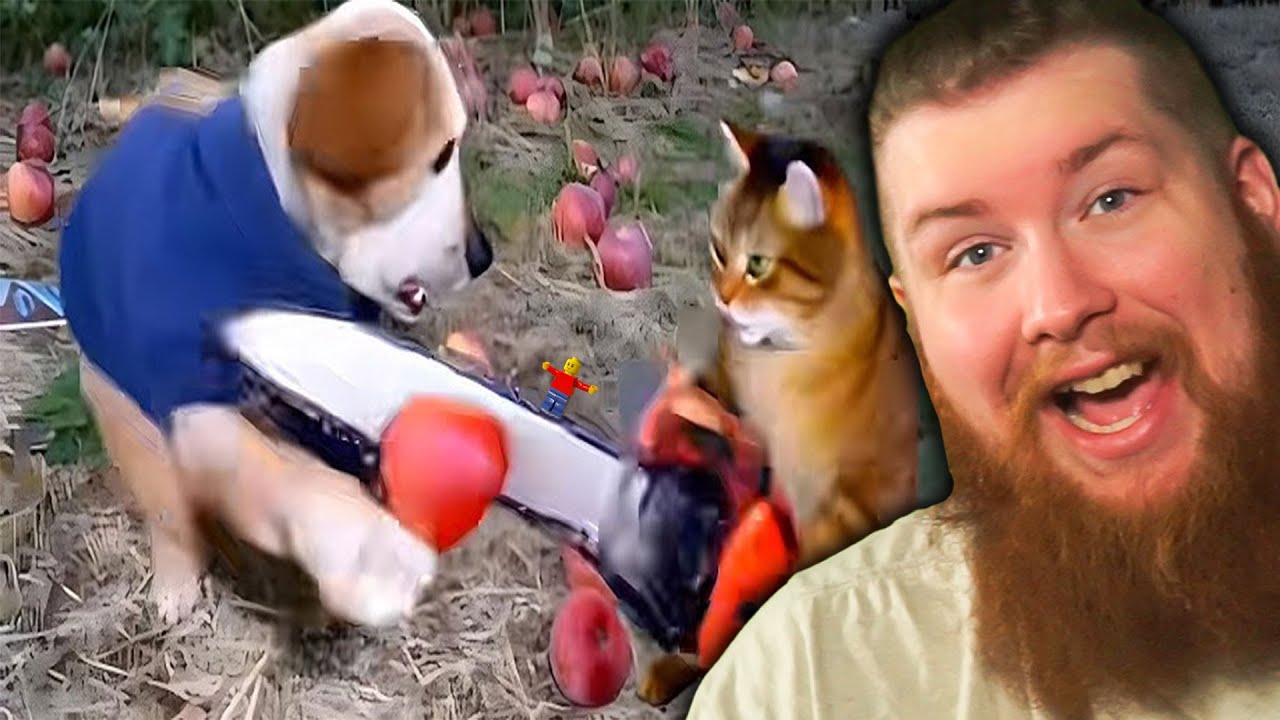 Мемы, которые оскорбительно смешны