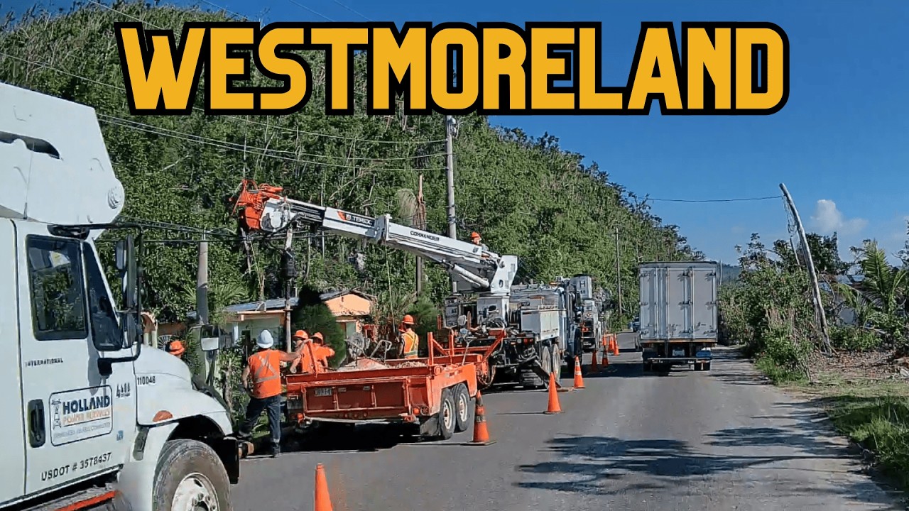 Travelling from Pertersfield to Whitehouse in Westmoreland | 876 By Birth