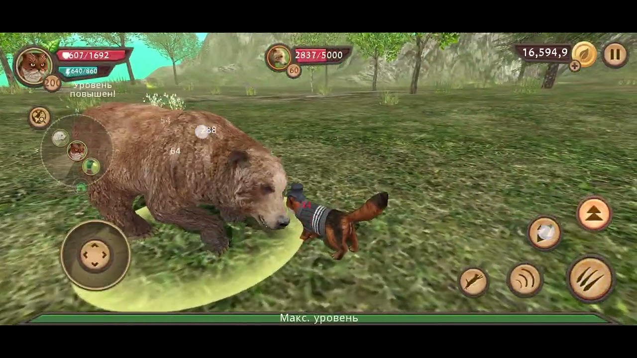Победил всех боссов 200 лвл в игре Cat Sim в 2026 году
