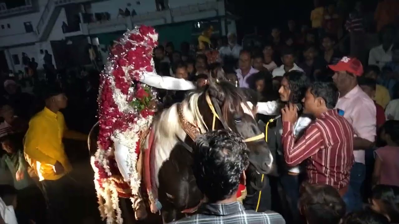 Taaj band balasinor hamara khwaja... 9773022735 / 9979381612