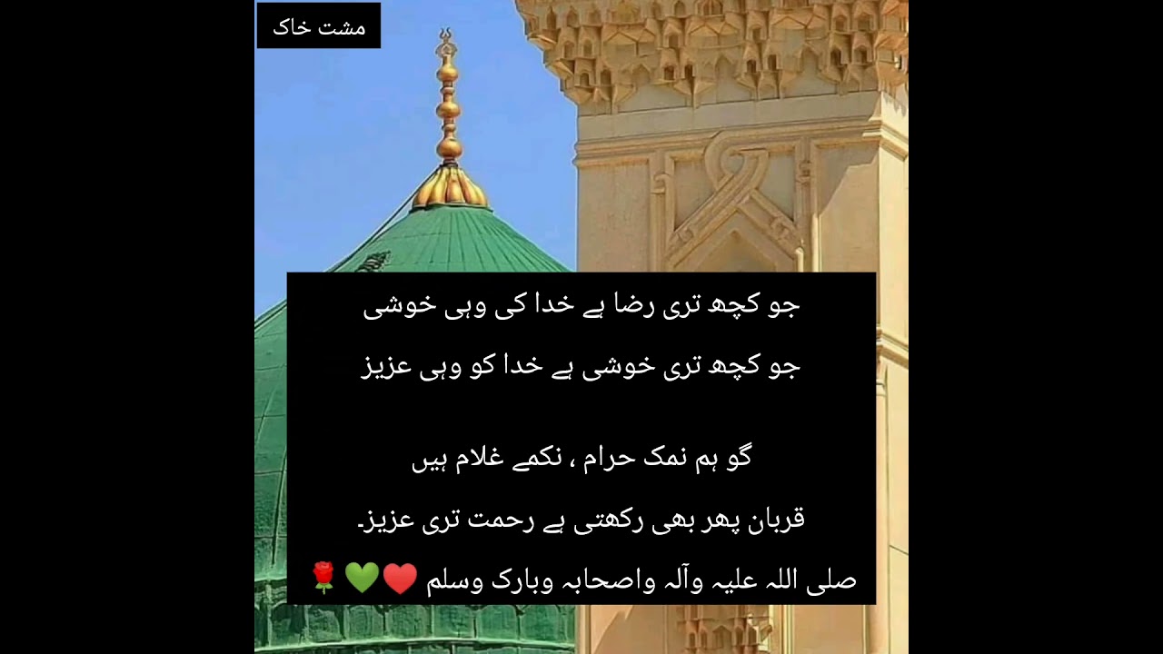 urduadab#please_subscribe_my_channel #poetry #quotes #urdulovers #urducouplets #urdu #goldenword