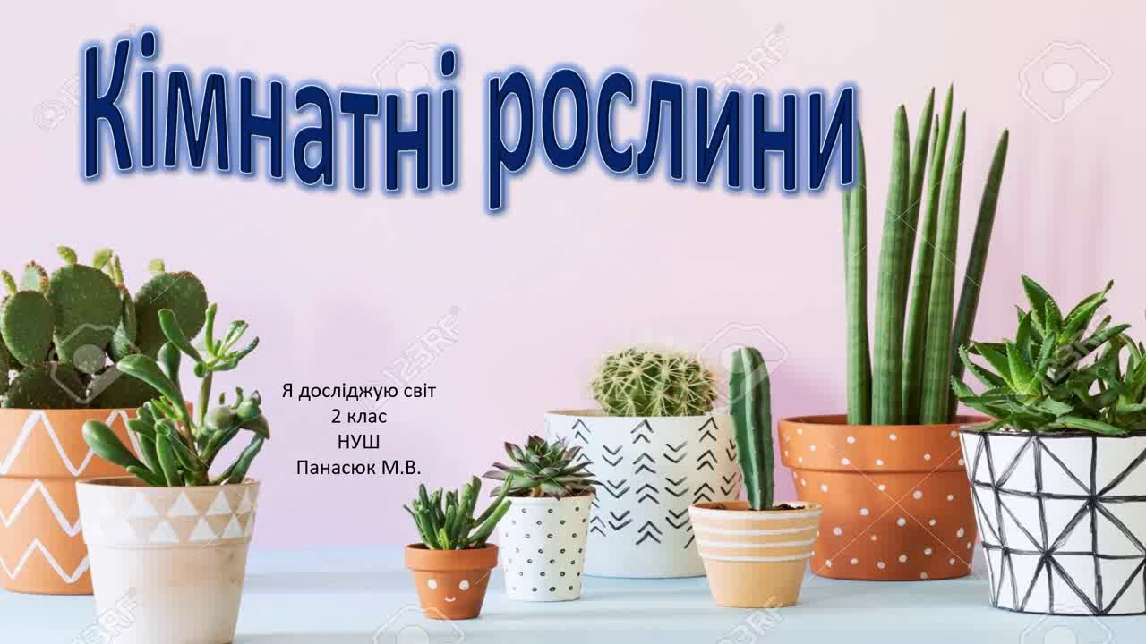 Кімнатні рослини
