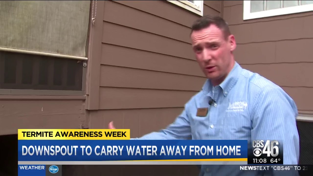 Termite Awareness Week: Controlling Termites in Atlanta, GA