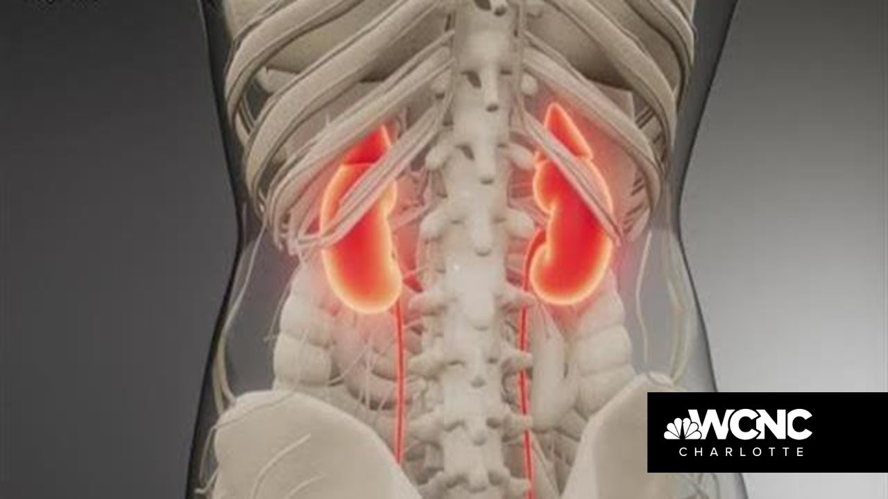 Yes, you can advertise and find your own kidney donor