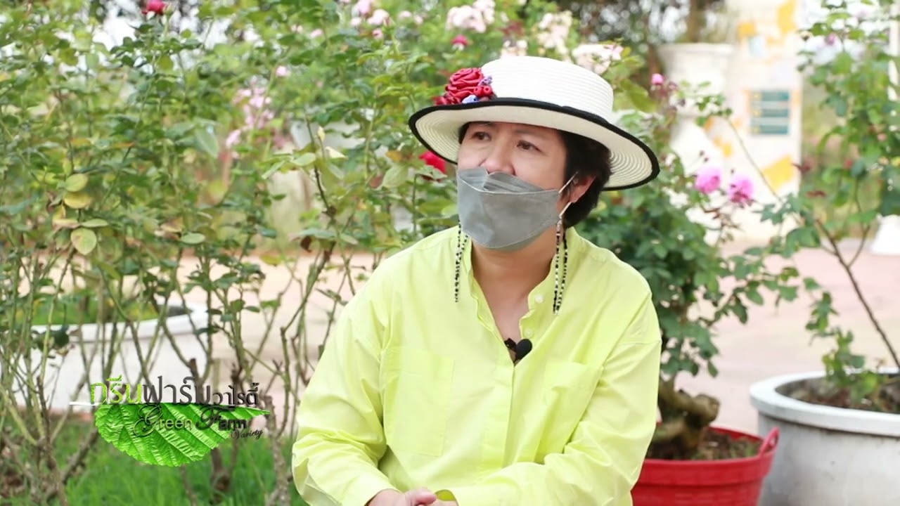 การเดินทางของกุหลาบ ที่โรสพาร์ค วังน้ำเขียว(12-2-65)1/3