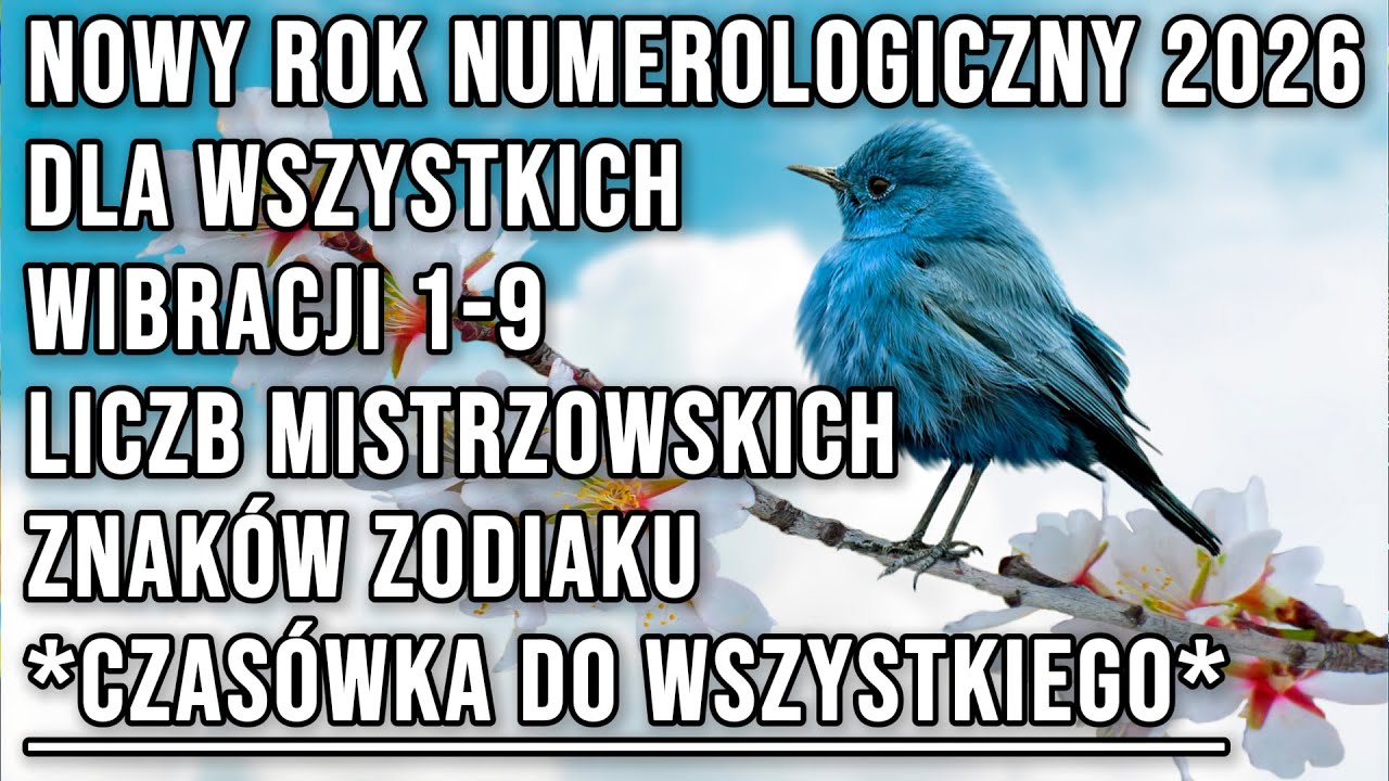 WSZYSTKO CZEGO POTRZEBUJESZ BY WEJŚĆ W NOWY ROK NUMEROLOGICZNY ZAWARTE W JEDNYM FILMIE