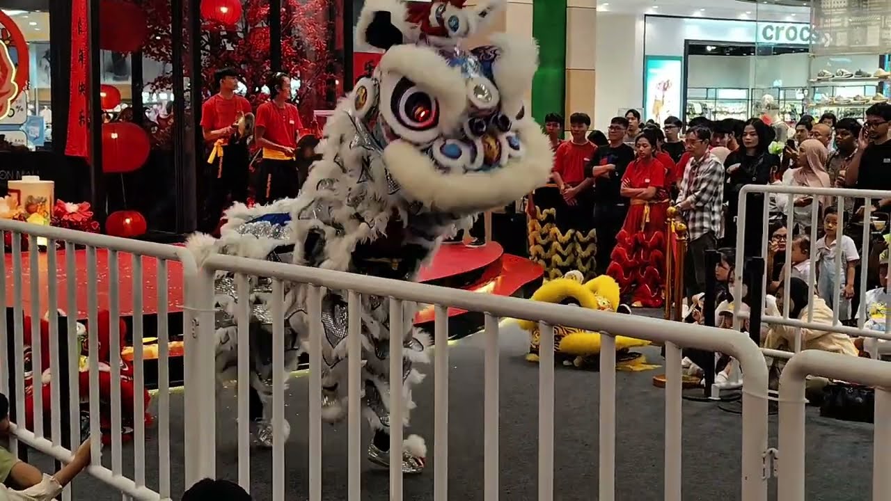 ATRAKSI BARONGSAI 2026 🔥 Meriah & Penuh Kejutan