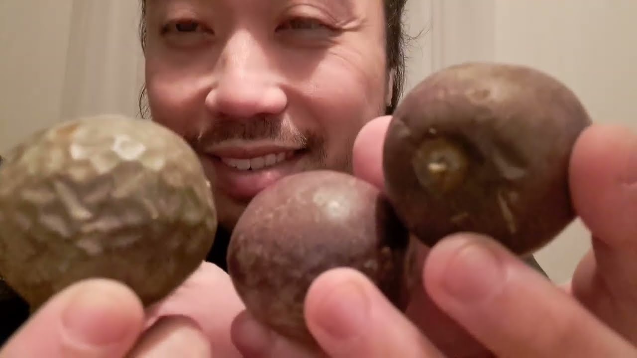 ASMR EATING SOUNDS - PASSION FRUIT (NO TALKING)