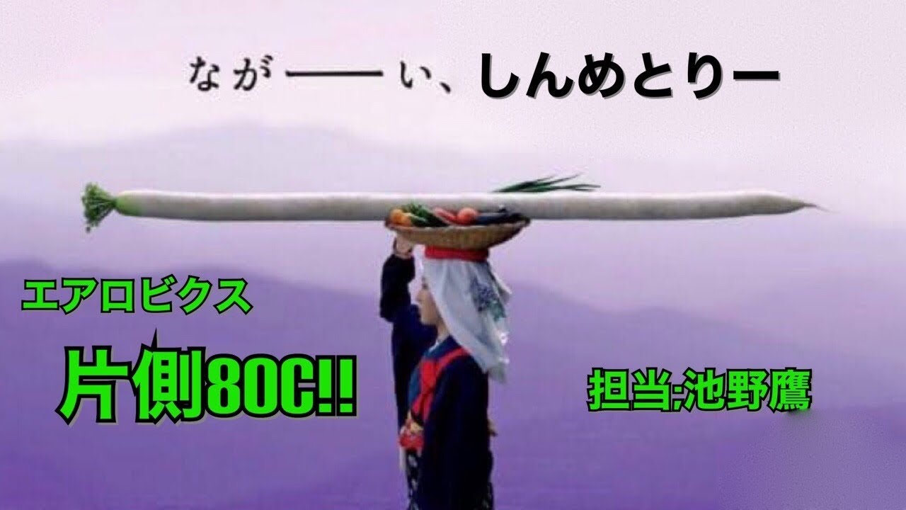 エアロビクス超ロングシンメトリー　片側80c 池野鷹