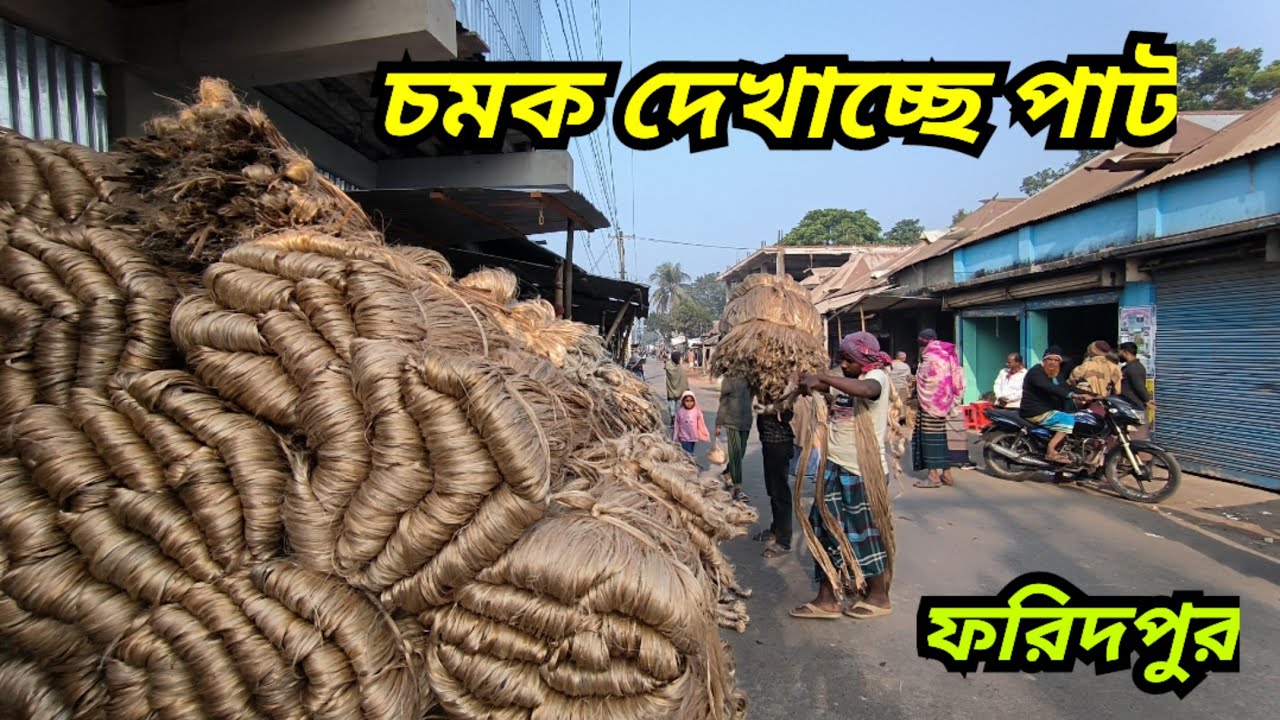 24.01.2026 চমক দেখা‌চ্ছে পাট | Jute Price Today | pater bazar| Faridpur.