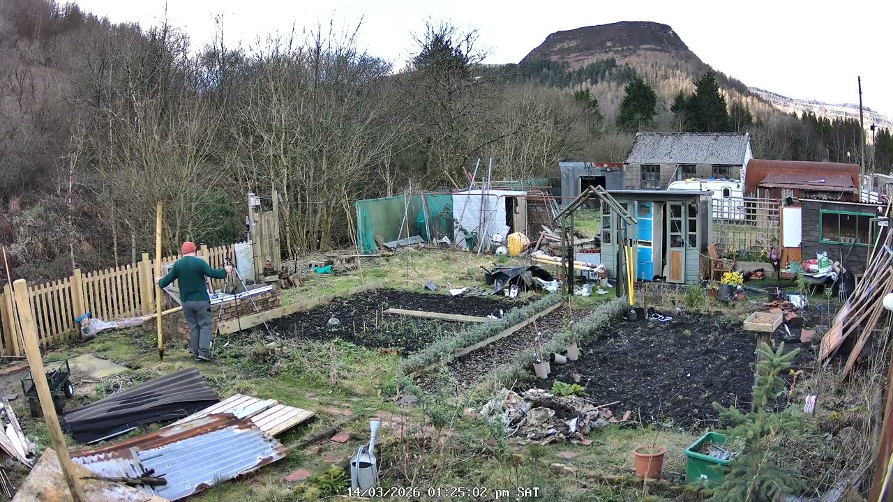 The Rusty Homestead Raw Footage: 14 March 2026 - Raspberries