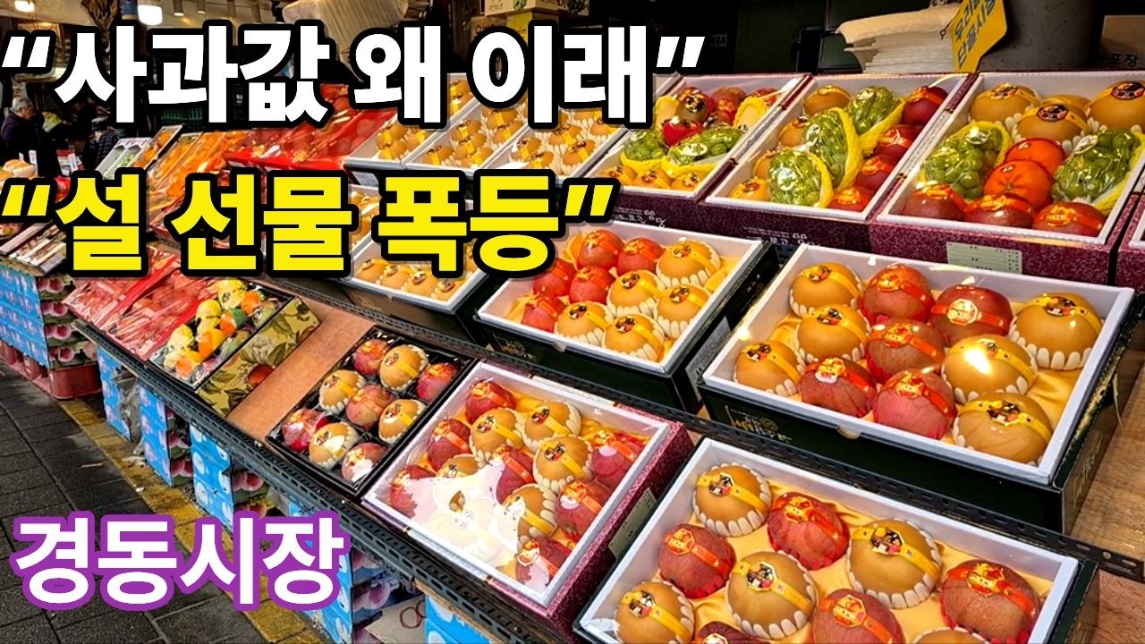 설 앞둔 경동시장, 사람은 많은데 사과값은 왜 이래! #경동시장 #설앞둔시장 #설선물세트