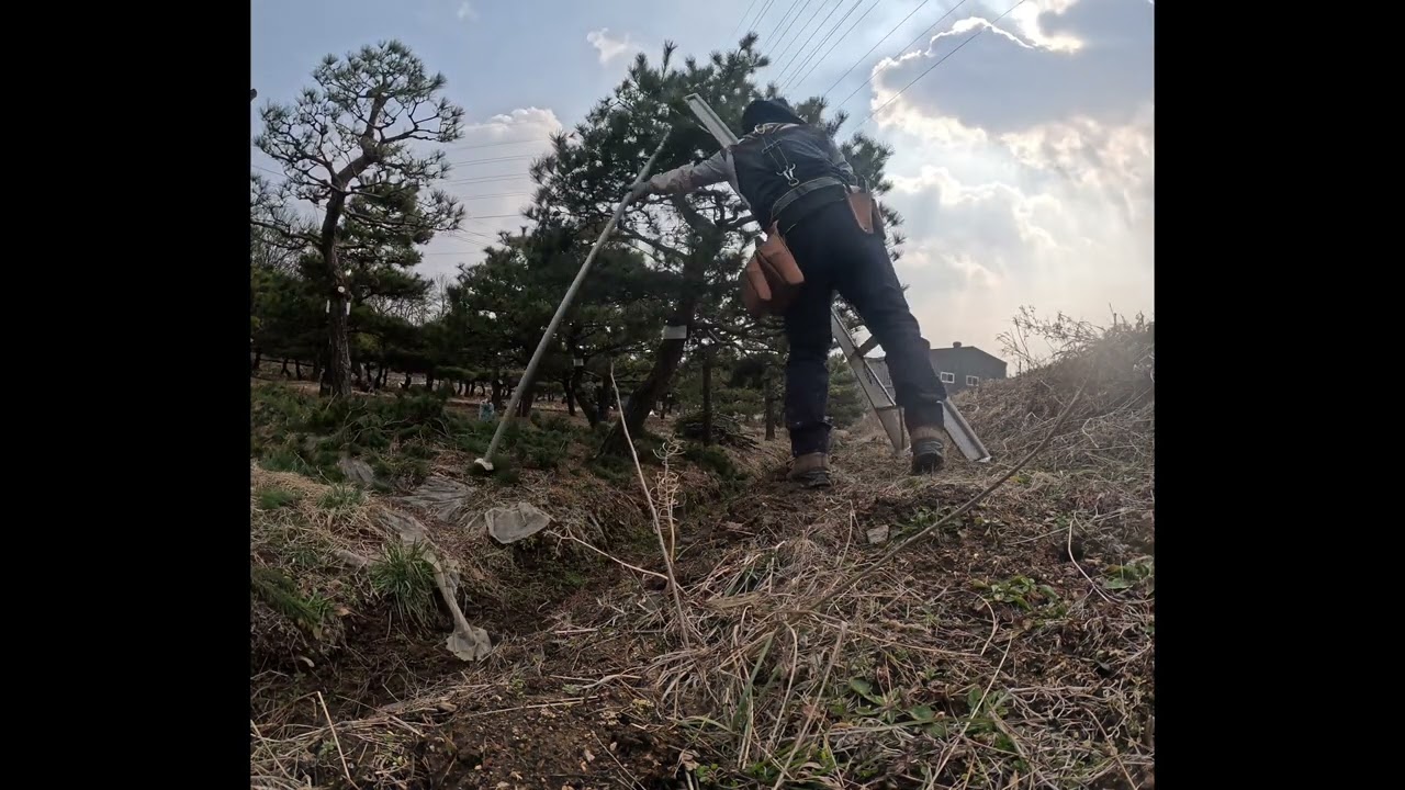 #소나무농장#전지작업#547농장