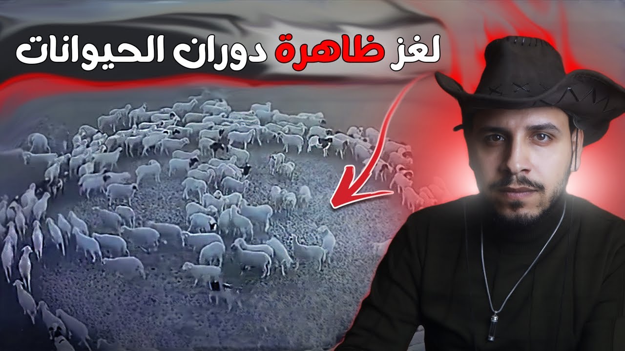 ظاهرة دوران الحيوانات التي ارعبت العالم #مقتطفات غامضة