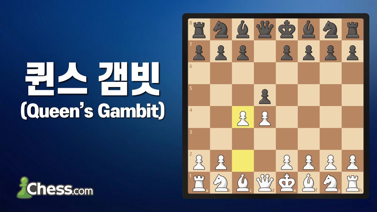 체스 초보자부터 마스터까지 모두 활용하는 오프닝, 퀸스 갬빗