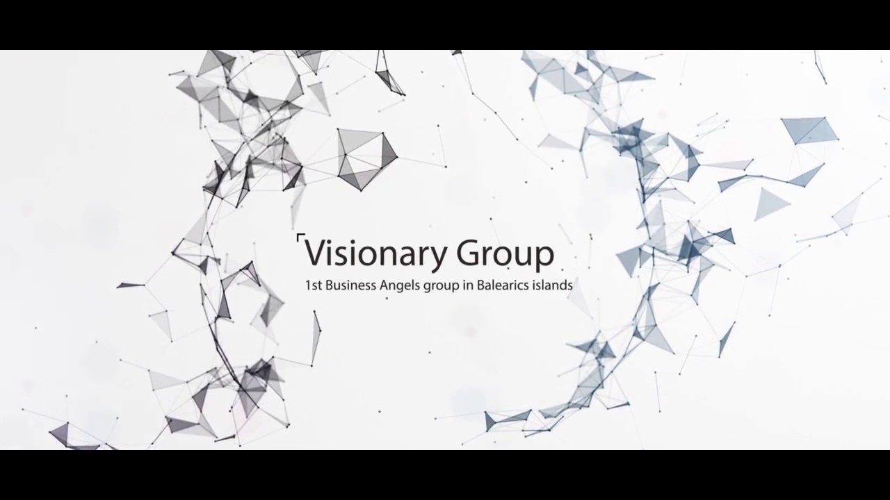 Visionary Group