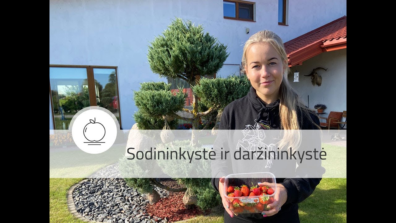 Jaunoji ūkininkė tęsia tėvų veiklą – puoselėja braškių ūkį