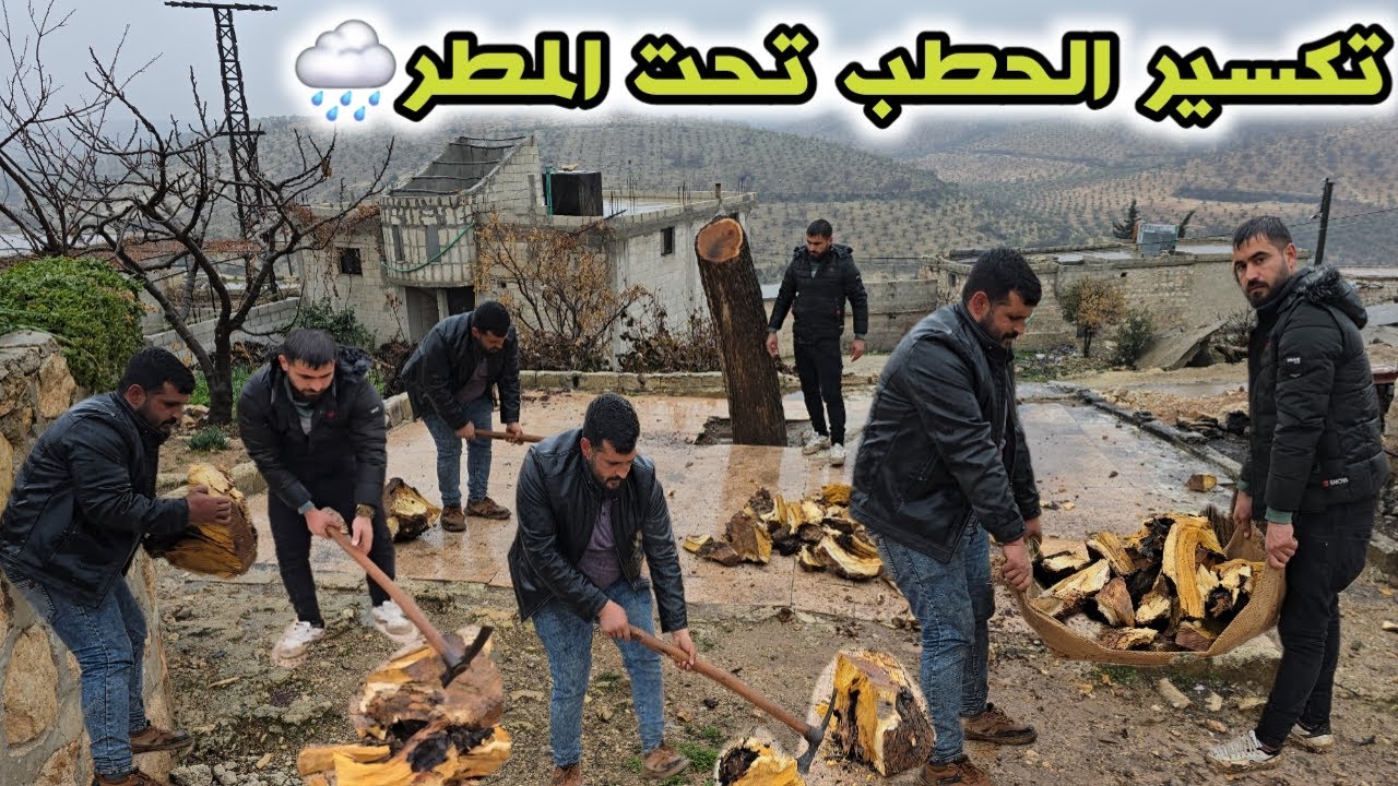 صعوبة الشتاء و تأمين الحطب للتدفئة | تقطيع الحطب تحت المطر🌧بمساعدة الشباب | تابعوا للأخير ❤️