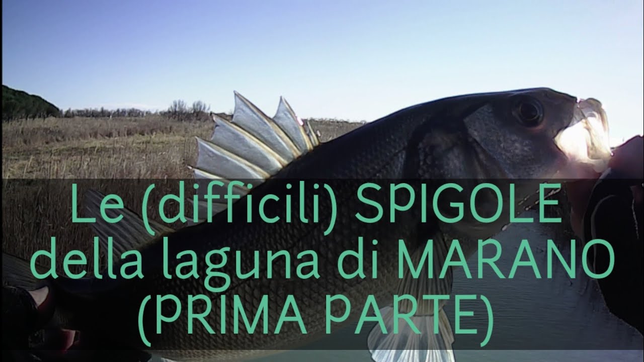 SPINNING: le (difficili) SPIGOLE della laguna di MARANO
