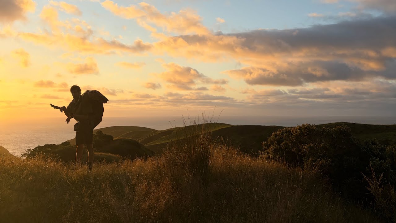 Finding the mate that&rsquo;s lost in the bush# hunting wild pigs West Coast New Zealand .