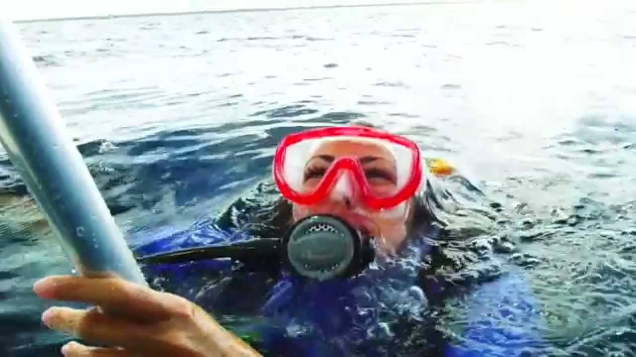 PADI ReActivate