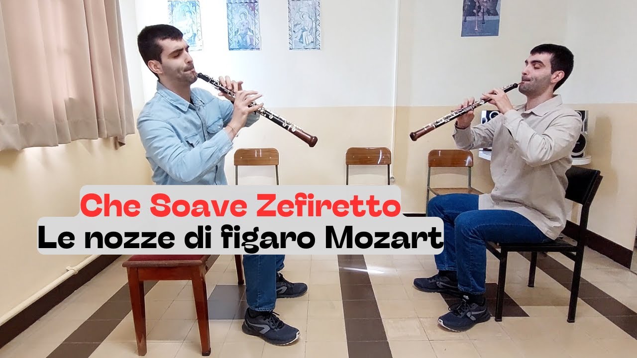 🎶 Le nozze di Figaro – Aria 