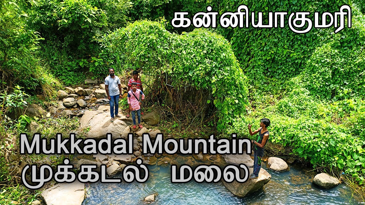 Mukkadal Dam Mountain | முக்கடல் அணை மலைப்பகுதி | Kanyakumari Nature| #HannielNatureKanyakumari #011