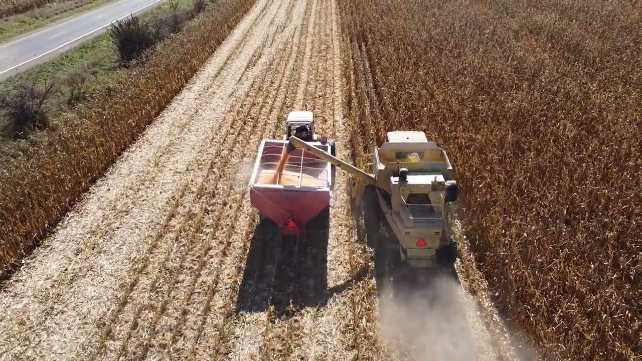 New Holland TR87 combining corn on 10-4-24 near West Lake Village IL.