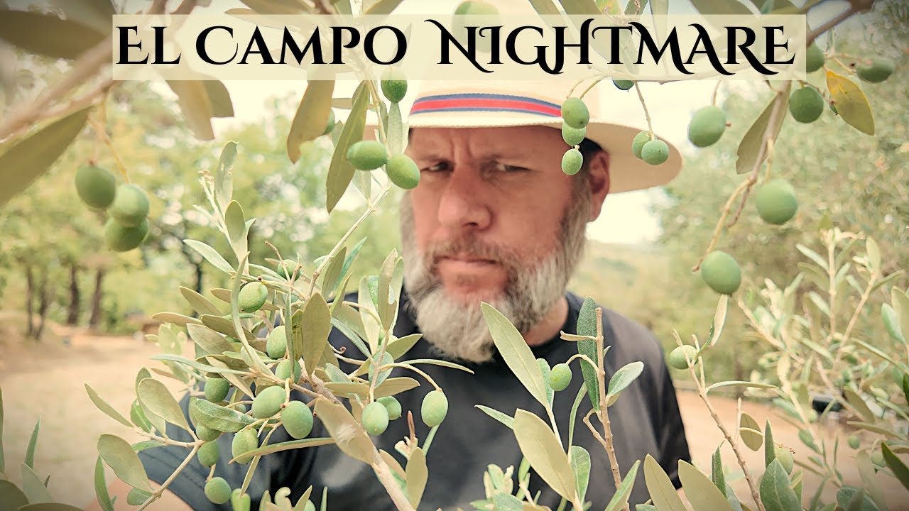 10 Harsh Truths about Living in Rural Spain (El Campo Exposed!)