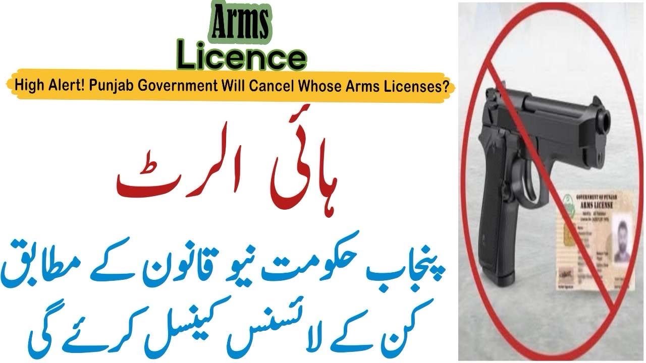 Who Will Lose Arms License in Punjab During Verification? | Punjab New Law 2025