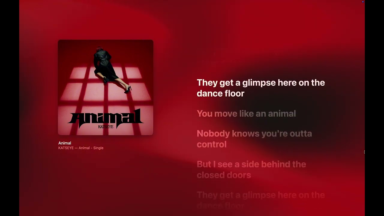 KATSEYE - Animal (Lyrics)