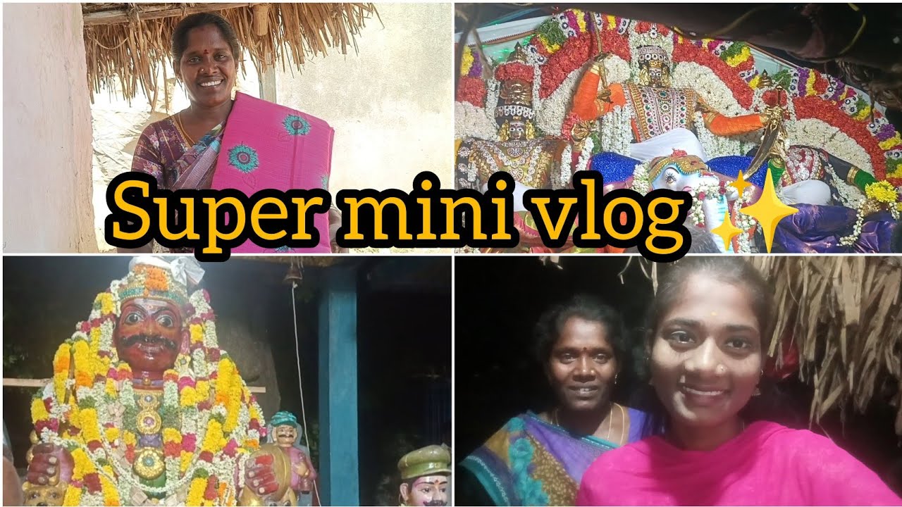 💫 எங்க வீட்டு சித்திரை திருநாள் கொண்டாட்டம்💥! Mini Vlog|gramathu ponnu saranya