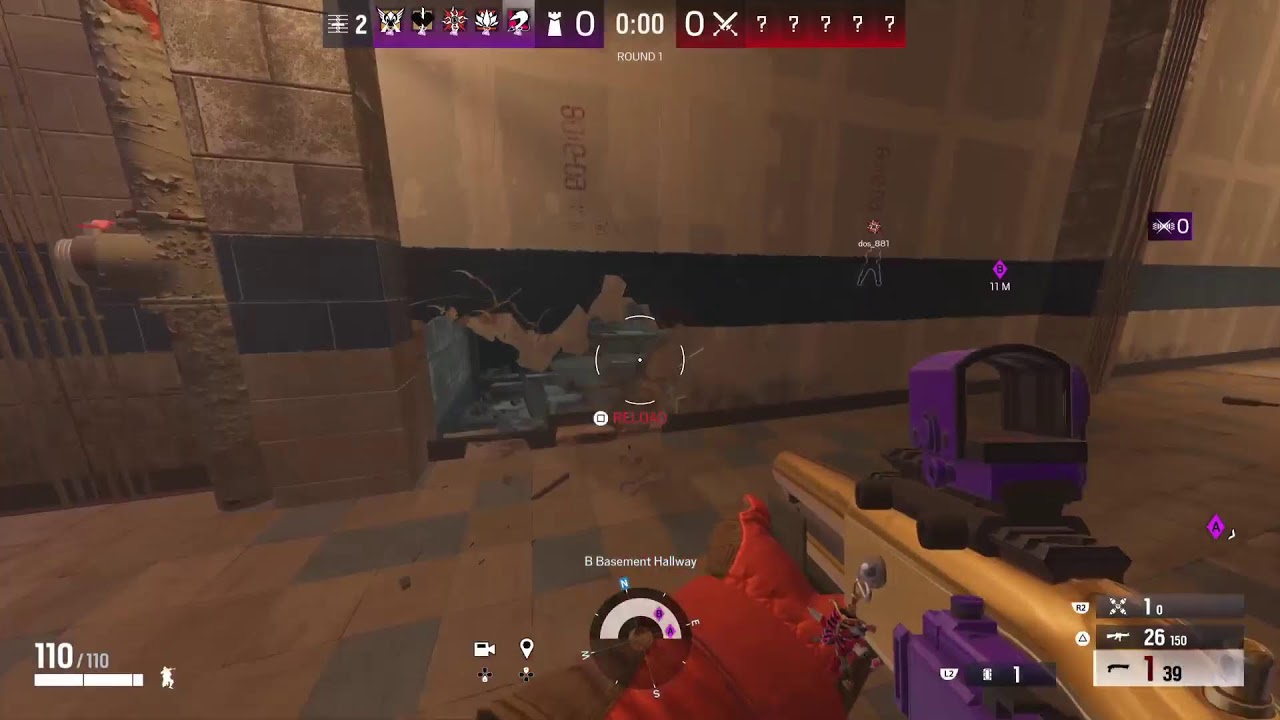 Champ maybe