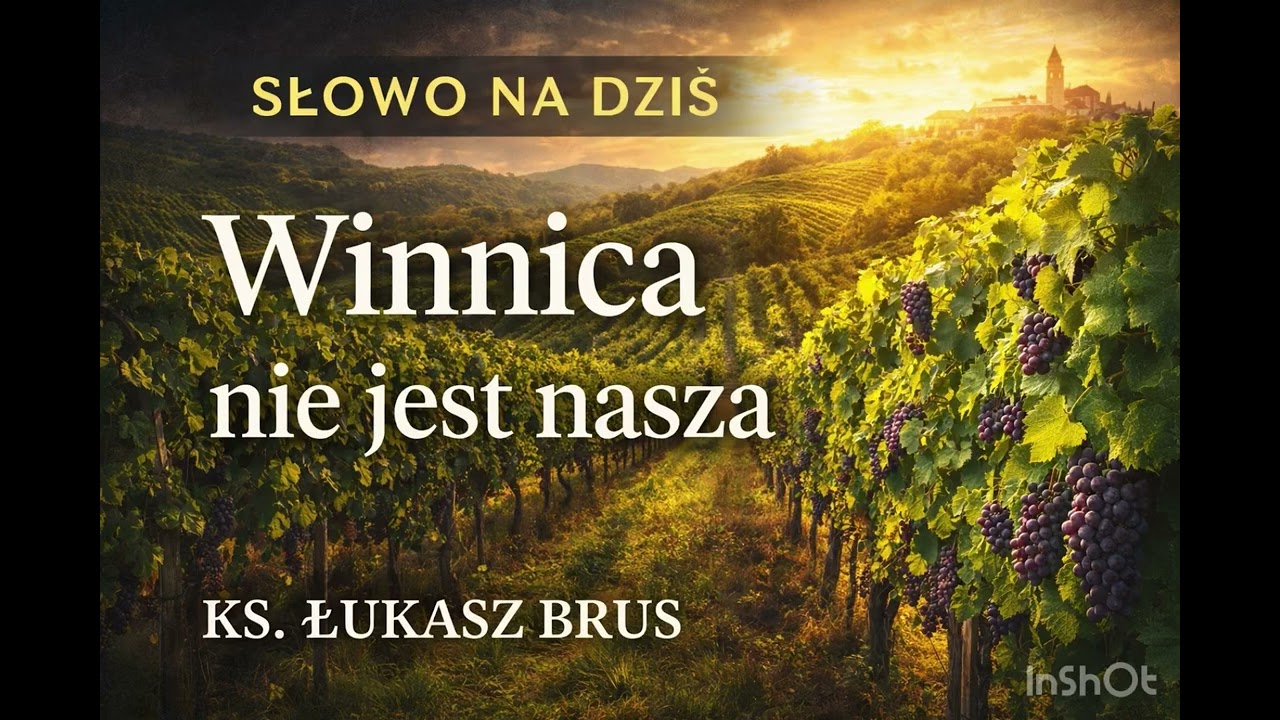 Winnica nie jest naszą