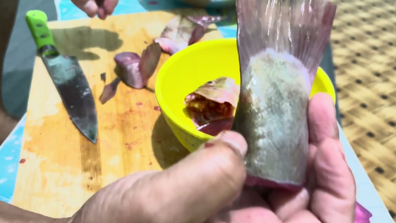 असला माछा बनाउने तरिका/Himalayan trout fish cooking traditional style🙏🙏🙏
