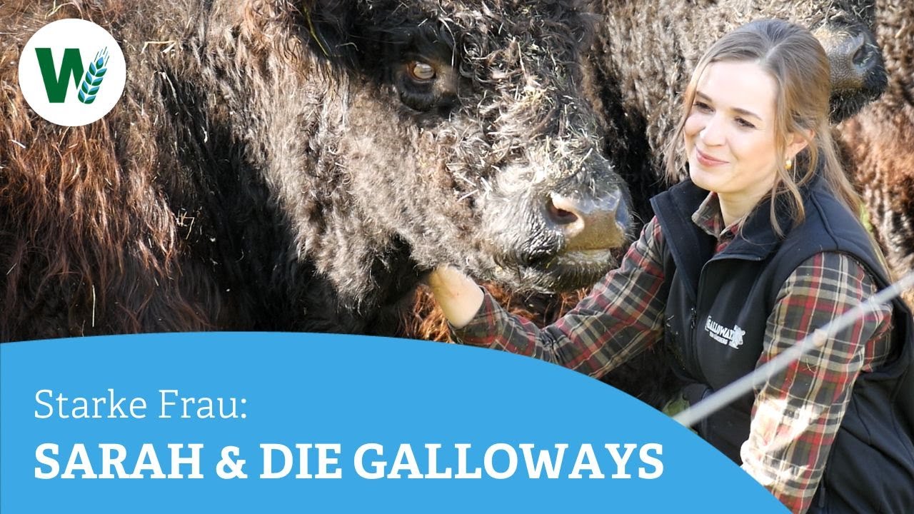 Galloways, Jagd und Verantwortung: Sarah Baumgartners Leben am Gänsberg im Bayerischen Wald
