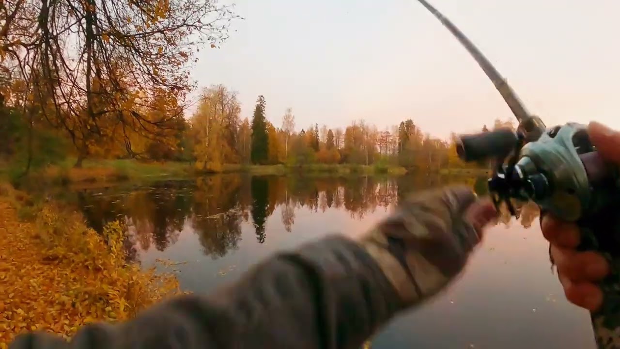 Щука в городском парке, твичинг 
