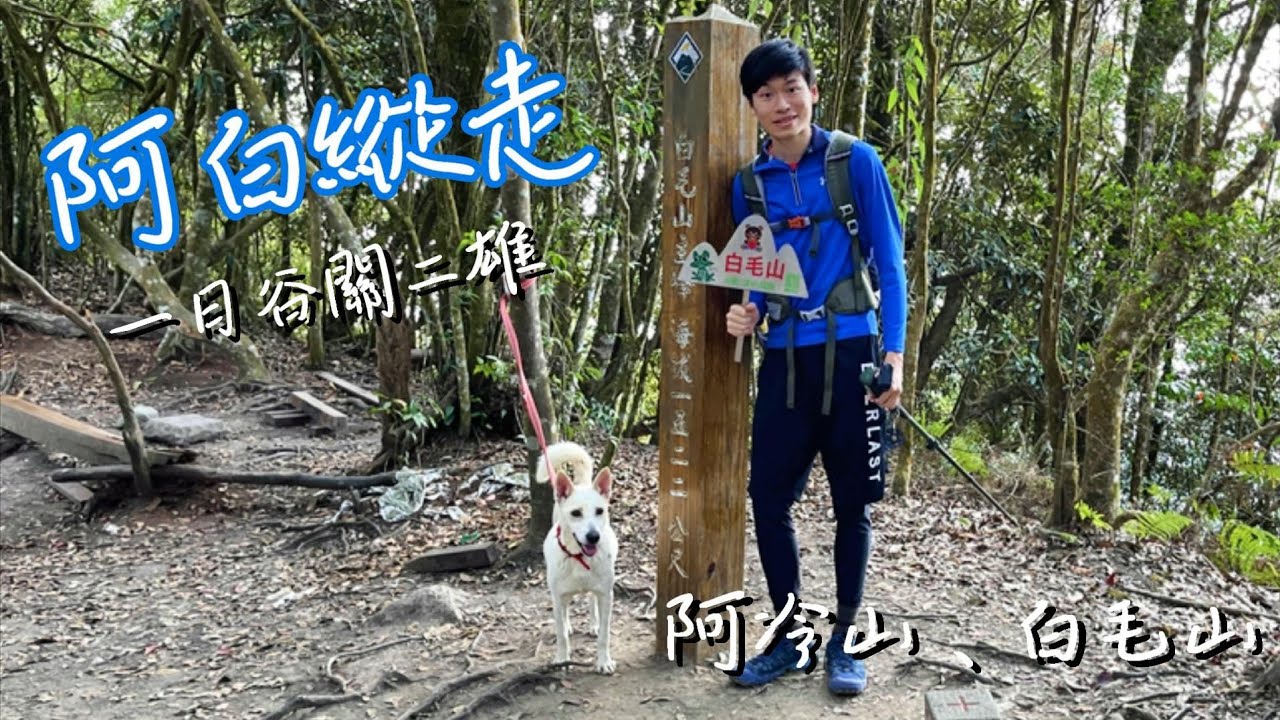 谷關七雄連走系列 - 阿白縱走(阿冷山、白毛山)/谷關七雄隱藏版~第八雄/超強白毛狗勇闖白毛山 !