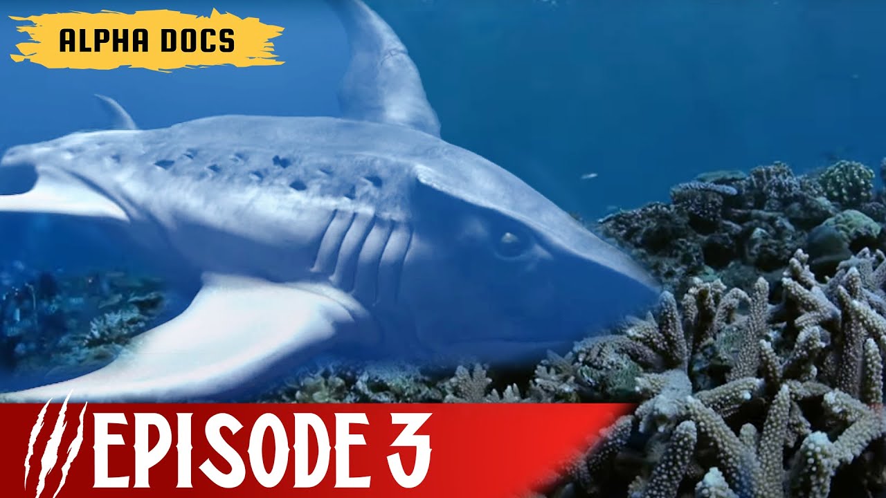 Megajaws | Beast Legends | Episode 3 | Full Documentary
