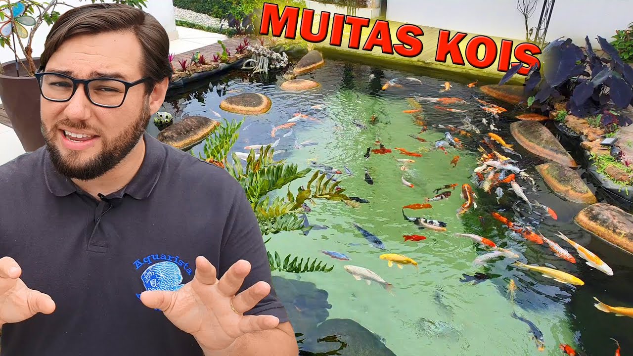 ENCONTREI UM LAGO COM MUITA CARPA BONITA - KOIS E NISHIKIGOIS