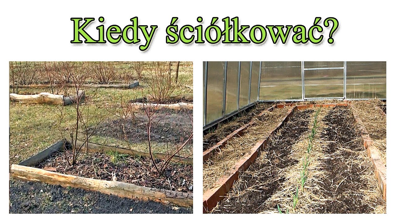Ściółkowanie na wiosnę czy jesień?