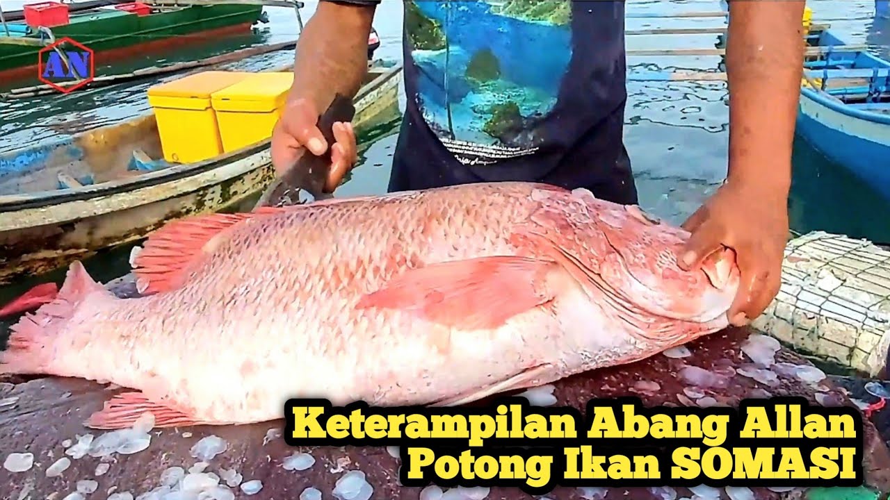 Keterampilan Abang Allan Potong Ikan SOMASI Pesanan Ibu Rumah Tangga