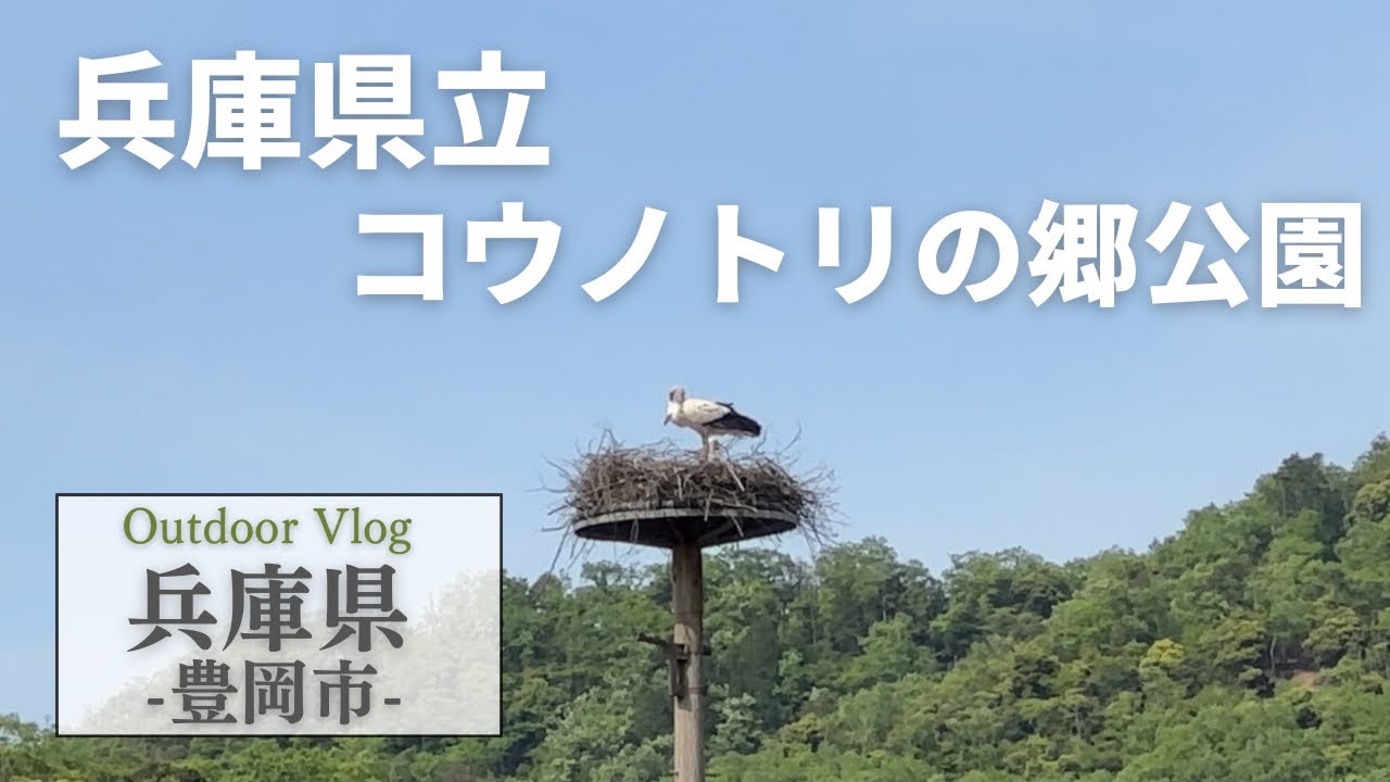 兵庫観光【豊岡市】自然豊かなコウノトリの郷を散策/兵庫県立コウノトリの郷公園