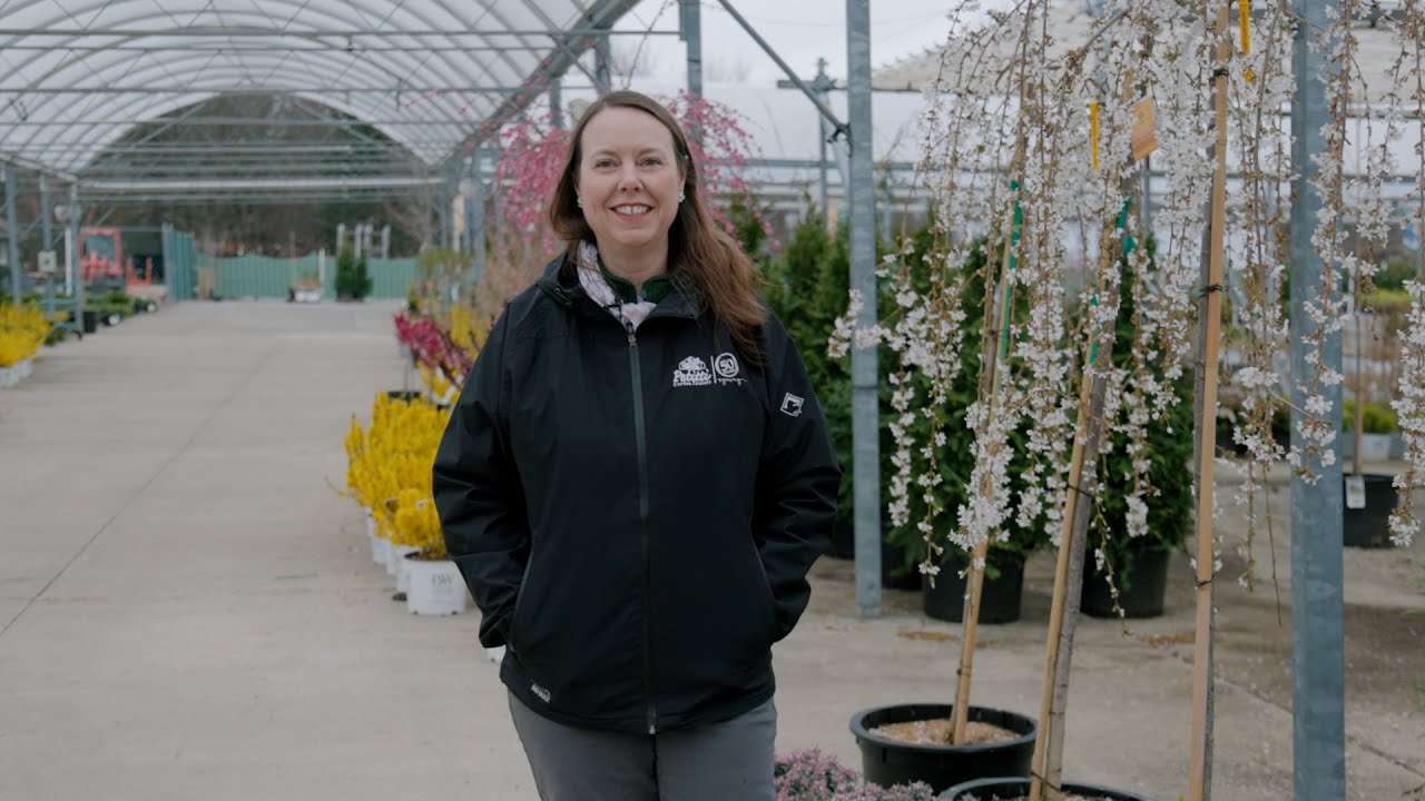 PETITTI | What's In Store April 2024