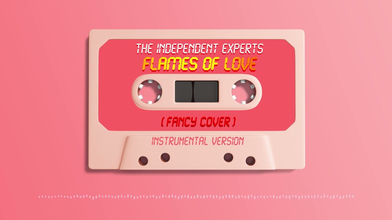 THE INDEPENDENT EXPERTS 