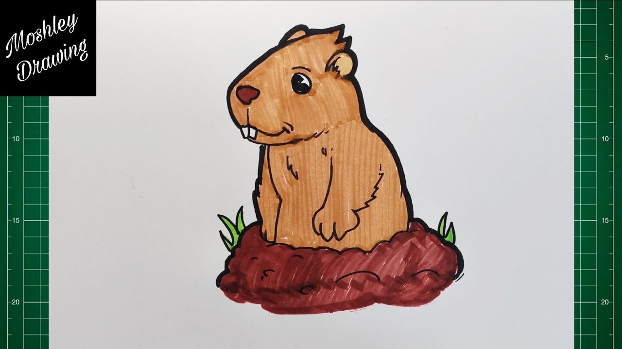 How to Draw a Groundhog step by step 